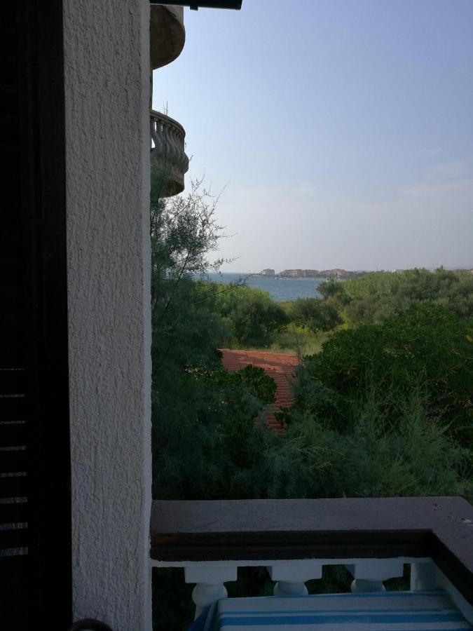 Apartments Mint Povljana - 50M From Sandy Beach Exterior foto