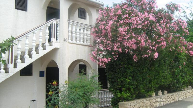 Apartments Mint Povljana - 50M From Sandy Beach Exterior foto